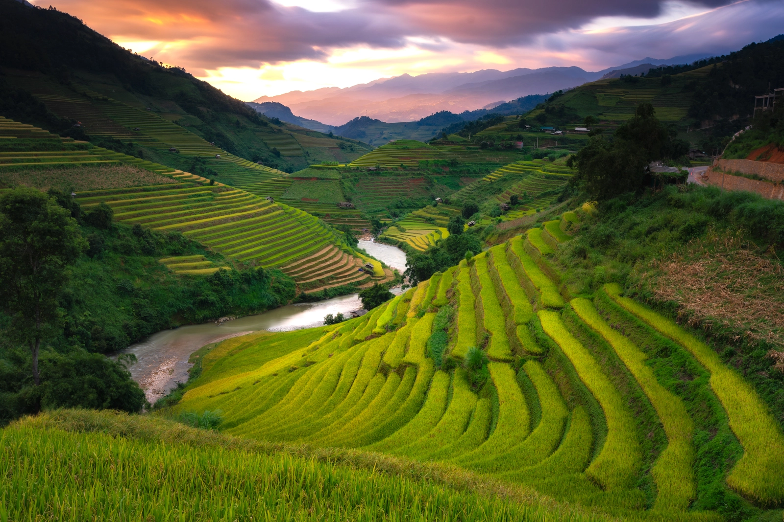 Rice Terraces - Mu Cang Chai