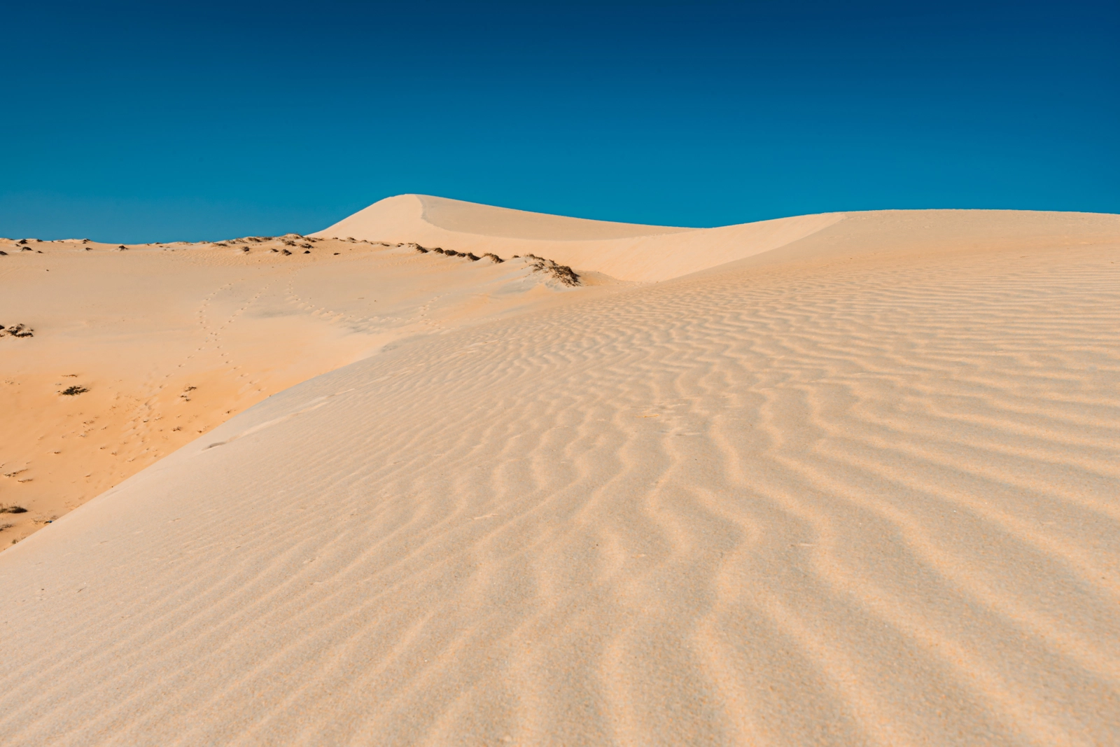 Sand Dunes - Mui Ne