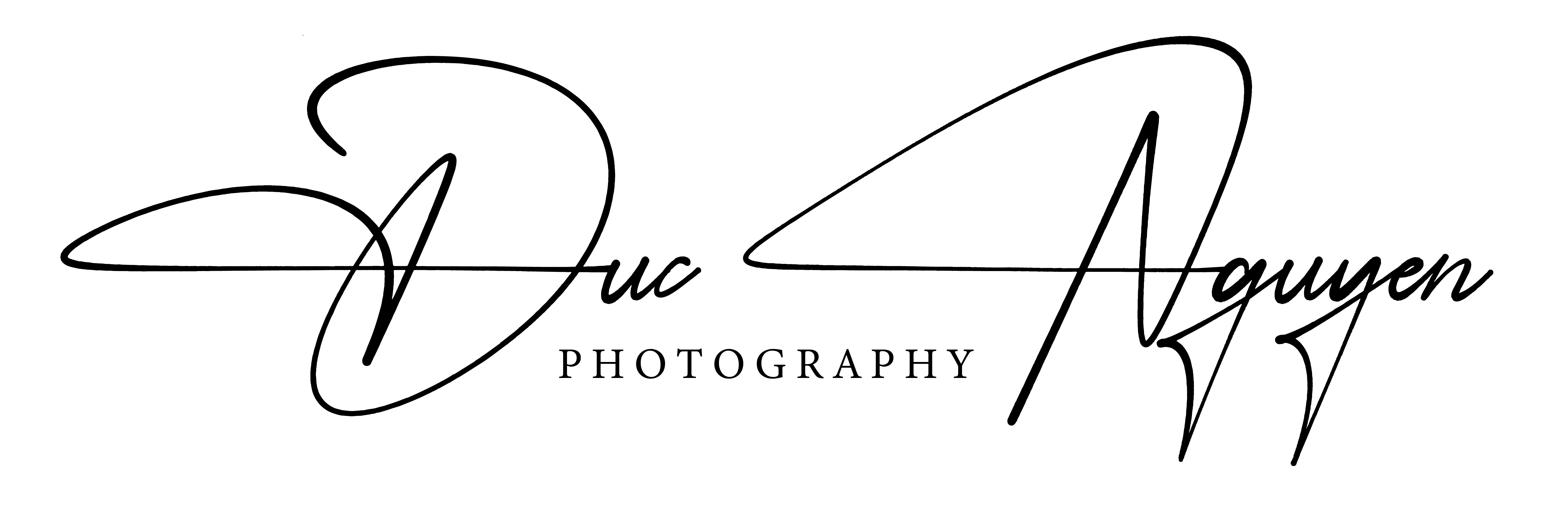 Duc Nguyen Logo
